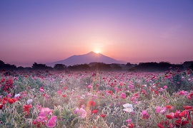 茨城県南イメージ